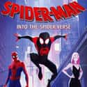 Spider-Man: Into the Spider-Verse on Random Best Animated Films