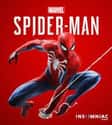 Spider-Man on Random Best Video Games Based On Comic Books