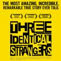 Three Identical Strangers on Random Best Documentaries on Hulu