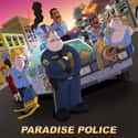 Paradise PD on Random Best Adult Animated Shows