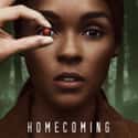 Homecoming on Random Best New Conspiracy TV Shows of the Last Few Years