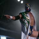 Dr. Wagner Jr. is listed (or ranked) 43 on the list The Best Lucha Underground Wrestlers Of All Time