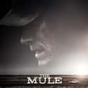 The Mule on Random Best Movies Directed by the Star