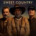 Sweet Country on Random Best New Western Movies of Last Few Years