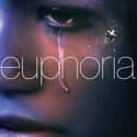 Euphoria on Random Best Dramas on Cable Right Now