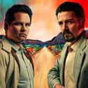 Narcos: Mexico on Random Best Current Historical Drama Series