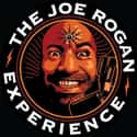 The Joe Rogan Experience on Random Most Popular Comedy Podcasts Right Now