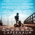 Capernaum on Random Best Political Drama Movies