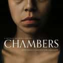 Chambers on Random Best New Horror TV Shows