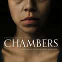 Chambers on Random Best New Horror TV Shows