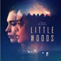 Little Woods on Random Best New Western Movies of Last Few Years