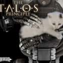 The Talos Principle is a first-person puzzle video game.