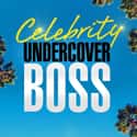 Celebrity Undercover Boss on Random Best Current CBS Shows