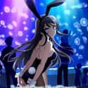Rascal Does Not Dream of Bunny Girl Senpai on Random Best Anime On Crunchyroll