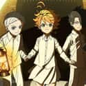 The Promised Neverland is a Japanese manga series written by Kaiu Shirai and illustrated by Posuka Demizu.