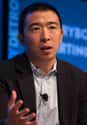 Entrepreneur   Andrew Yang (born January 13, 1975) is an American entrepreneur, the founder of Venture for America, and a 2020 Democratic presidential candidate.