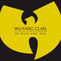 Wu-Tang Clan: Of Mics and Men on Random Best Black TV Shows