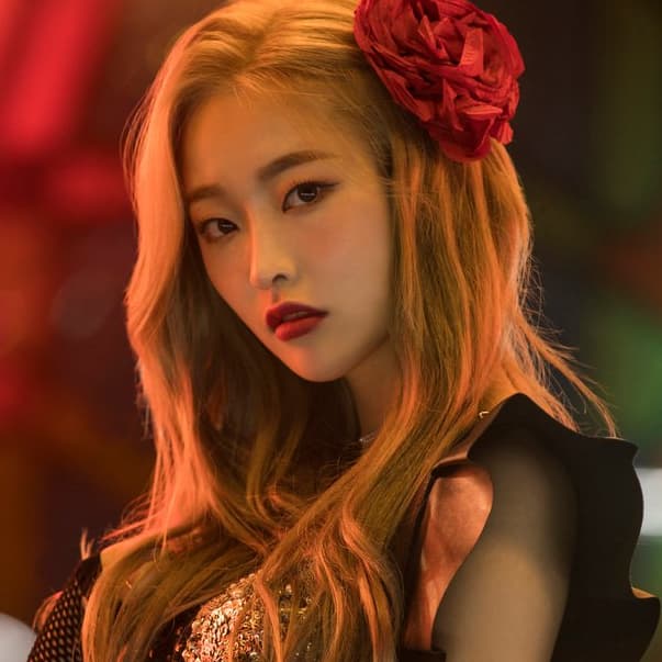 50 INFP K-pop Idols & Korean Celebs