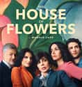The House of Flowers on Random Best TV Shows About Cheaters, Affairs, And Infidelity