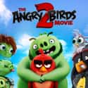 The Angry Birds Movie 2 on Random Best New Kids Movies of Last Few Years