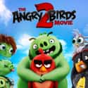 The Angry Birds Movie 2 on Random Best New Kids Movies of Last Few Years