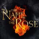 The Name of the Rose on Random Best Current Historical Drama Series