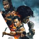 Triple Threat on Random Best Martial Arts Movies Streaming on Netflix