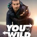 You vs. Wild on Random Best Current Adventure TV Series