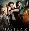 Master Z: The Ip Man Legacy on Random Best MMA Movies About Fighting