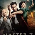 Master Z: The Ip Man Legacy on Random Best Martial Arts Movies Streaming on Netflix