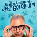 The World According to Jeff Goldblum on Random Best Current Shows for Nerds