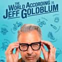 The World According to Jeff Goldblum on Random Best Current Reality Shows That Make You A Better Person