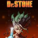 Dr. Stone on Random Best Anime On Crunchyroll