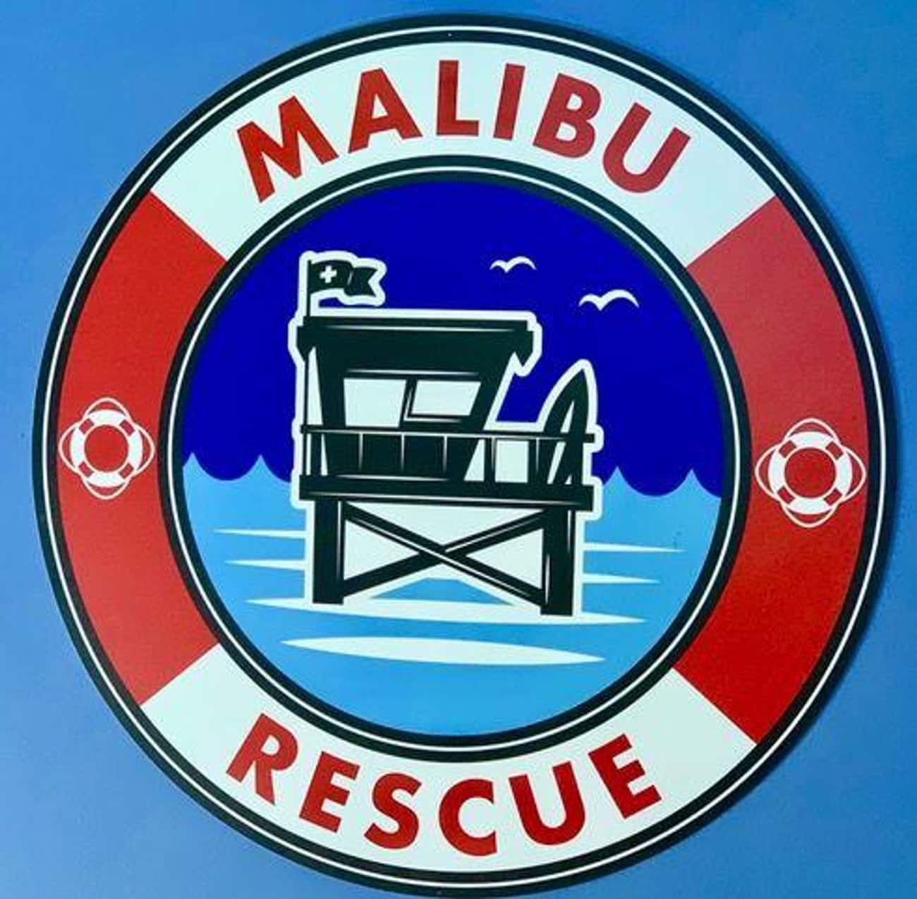 Malibu Rescue: The Movie