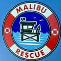 Malibu Rescue: The Movie on Random Best Netflix Original Action Movies