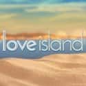 Love Island on Random TV Programs For People Who Love Netflix's 'The Circle'