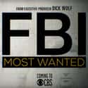 FBI: Most Wanted on Random Best Dramas on Cable Right Now