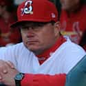 Mike Shildt on Random Person Will Be The 2020 National League Manager Of Yea