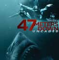 47 Meters Down: Uncaged on Random Best New Teen Movies of Last Few Years