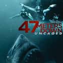 47 Meters Down: Uncaged on Random Best New Teen Movies of Last Few Years