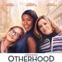 Otherhood on Random Funniest Movies About Parenting