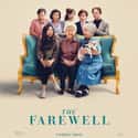 The Farewell on Random Best New Drama Films of Last Few Years