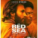 The Red Sea Diving Resort on Random Best New Drama Films of Last Few Years