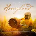 Honeyland on Random Best Documentaries on Hulu