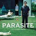 Parasite on Random Best Foreign Thriller Movies