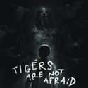 Tigers Are Not Afraid is a 2019 Mexican fantasy horror film directed by Issa López.