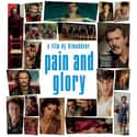 Pain and Glory on Random Best Antonio Banderas Movies