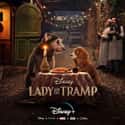 Lady and the Tramp on Random Best Live Action Remakes of Animated Films