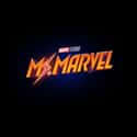 Ms. Marvel on Random Things We Now Know Is Coming In Post-'Endgame' MCU