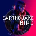 Earthquake Bird on Random Best New Crime Movies of Last Few Years